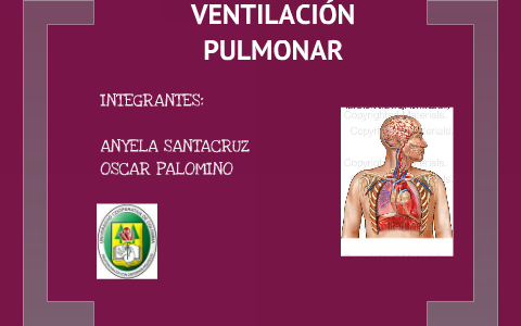 FISIOLOGIA DE LA VENTILACIÓN PULMONAR By Oscar Fernando On Prezi