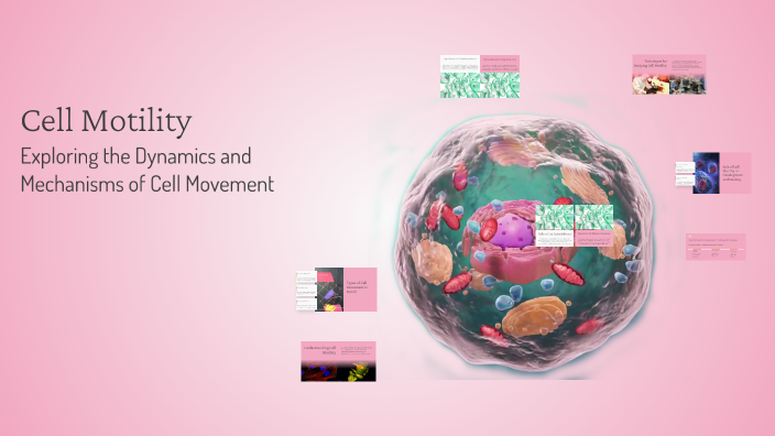 Cell Motility by kıymet tabakçıoğlu on Prezi