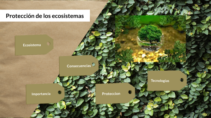 Protección de los ecosistemas by EDGAR ALAN SANCHEZ HERNANDEZ on Prezi