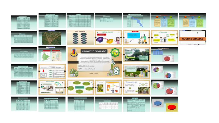 proyecto final by Ely Zarate on Prezi