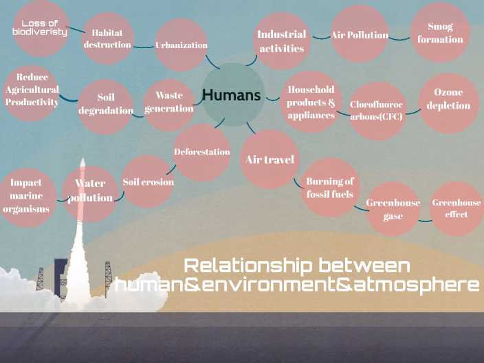 Concept map by Sarah Chu on Prezi