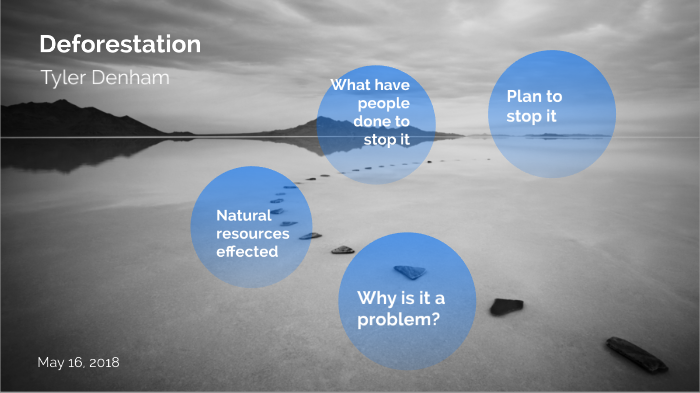 Tyler Denham Deforestation by Tyler Denham on Prezi