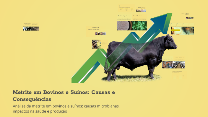 Metrite Metrite em Bovinos e Suínos: Causas e Consequências by CARLOS DA SILVA ...