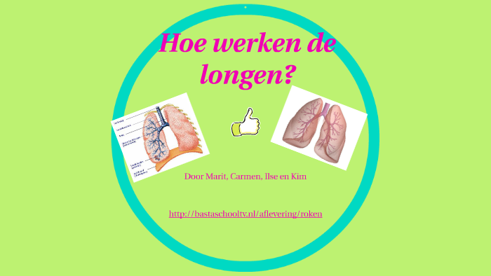 Hoe Werken De Longen? By Willem Sluiter