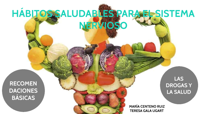 Hábitos Saludables Para El Sistema Nervioso By Teresa Gala Ugart On Prezi Hábitos Saludables Para El Sistema Nervioso By Teresa Gala Ugart On Prezi