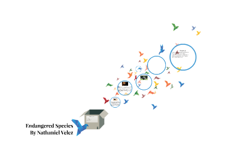 Endangered Species by Nathaniel V on Prezi