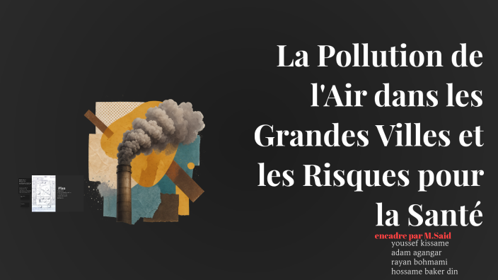 La Pollution de l'Air dans les Grandes Villes et les Risques pour la ...