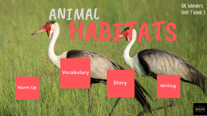 GK Wonders Lesson 21: Unit 7 Week 3 Animal Habitats by Silasee Breath ...