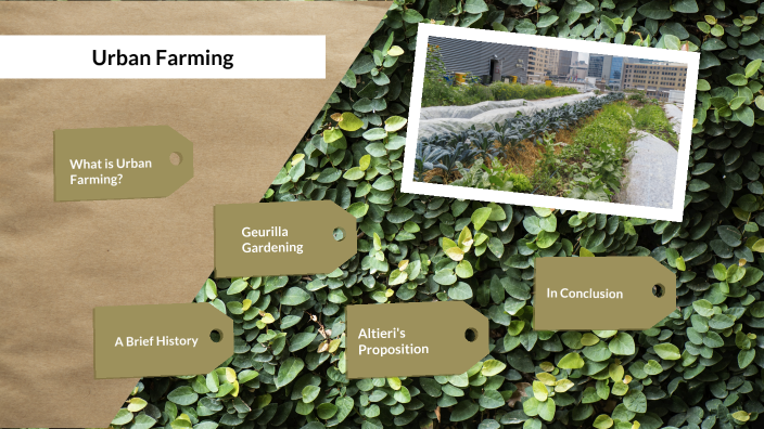 Urban Farming by Alicia Polezonis on Prezi