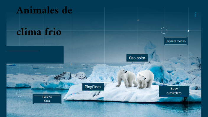 Animales de clima frio by Keylin Sanchez Calvo on Prezi