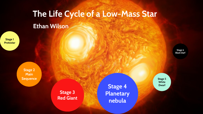 The life cycle of a low mass star by ethan wilson on Prezi