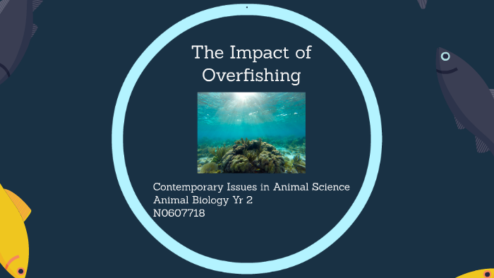 Overfishing by Aisling Fleming on Prezi