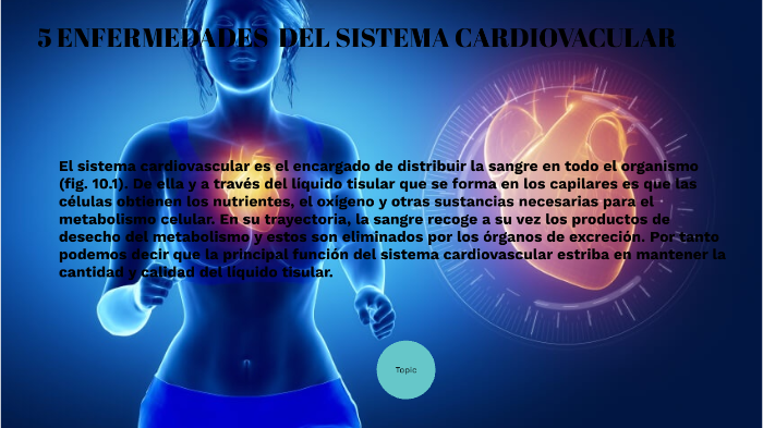 5 ENFERMEDADES DEL SISTEMA CARDIOVASCULAR By Evelyn Mariana Hernandez ...