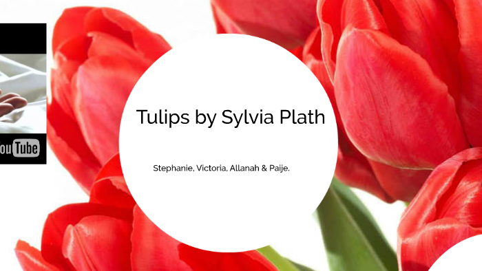tulips sylvia plath