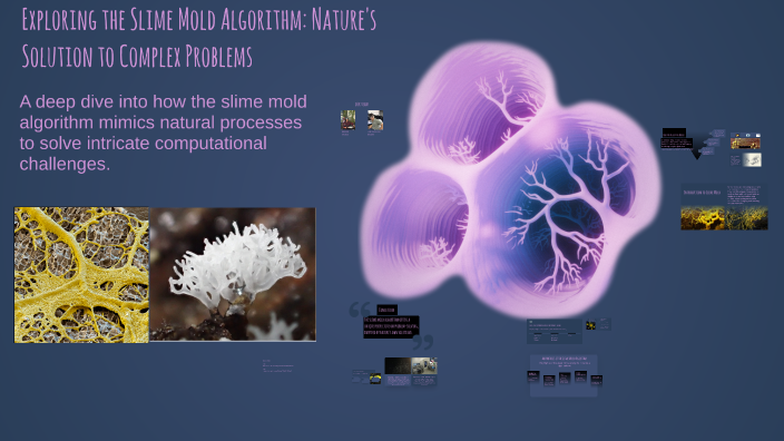 Slime Mold Computing Exploring the Slime Mold Algorithm: Nature's Solution to Complex ...