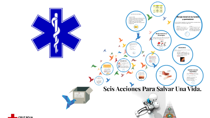 Seis Acciones Para Salvar Una Vida By Christian Cruz Cuevas On Prezi 2994