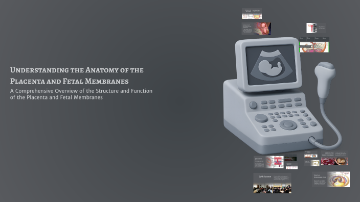 Understanding the Anatomy of the Placenta and Fetal Membranes by ...