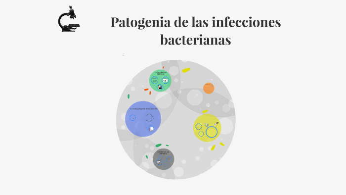 PATOGENIA DE LAS INFECCIONES BACTERIANAS by Alejandra Calderón Lozano ...