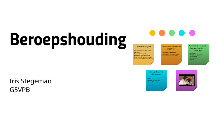 Beroepshouding by Iris Stegeman
