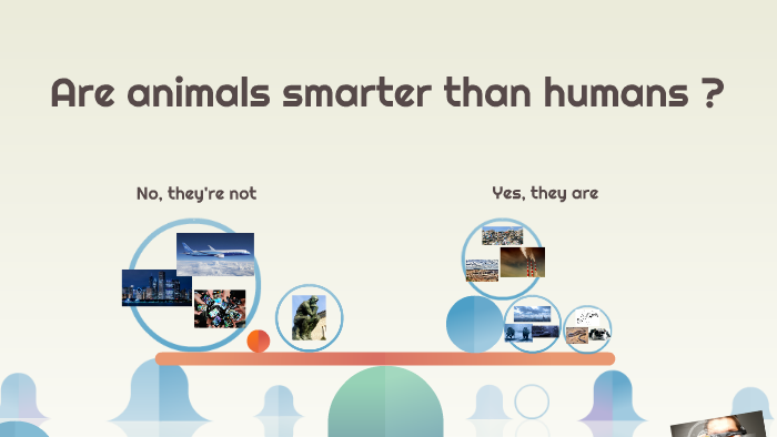 are-animals-smarter-than-humans-by-linus-stabenow