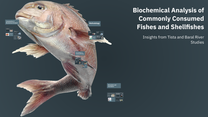 Biochemical Analysis of Commonly Consumed Fishes and Shellfishes by ...
