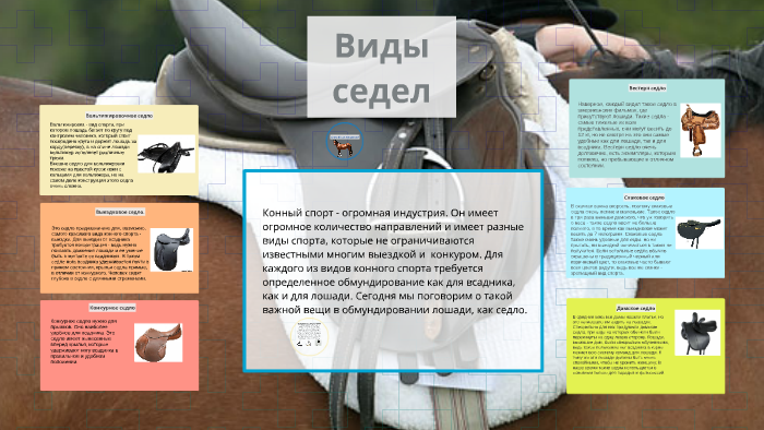виды седел by София Фешина on Prezi