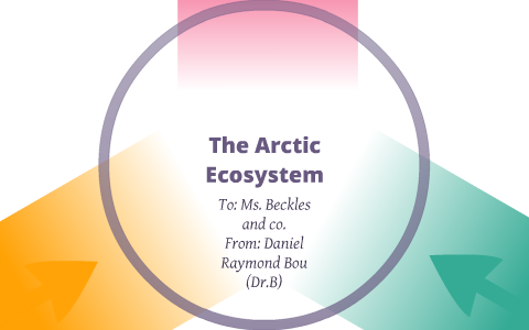 Ecosystem of the Arctic ocean by Daniel Bou on Prezi