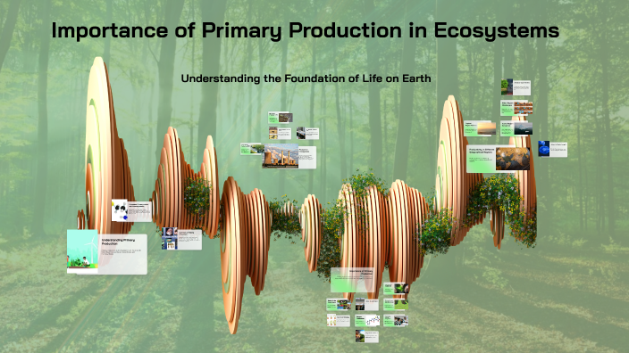Importance of Primary Production in Ecosystems by Imran Hossan on Prezi