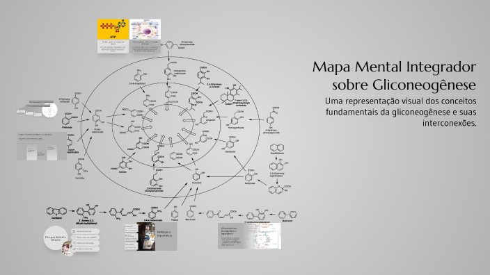 Mapa Mental Integrador sobre Gliconeogênese by Alexandra Cruz on Prezi