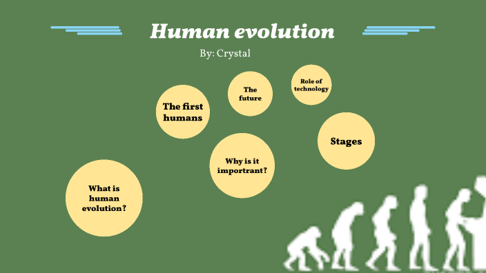 Human evolution by crystal patel