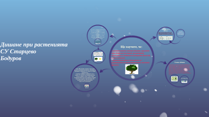 Дишане при растенията by Христо Бодуров on Prezi