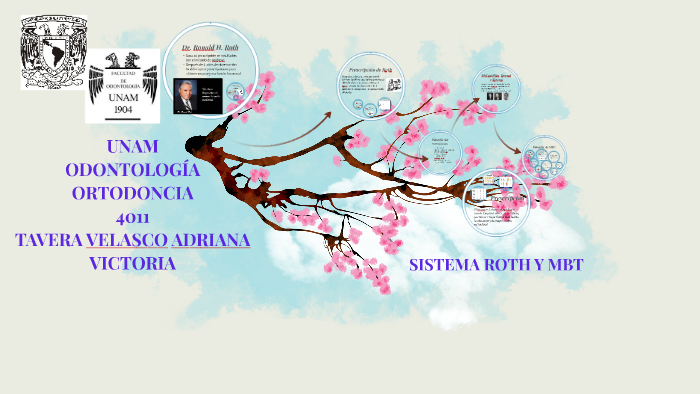 SISTEMA ROTH Y MBT by Drina Tavera on Prezi