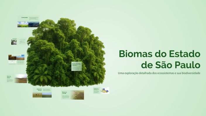 Biomas do Estado de São Paulo by Rayssa alves De Oliveira on Prezi