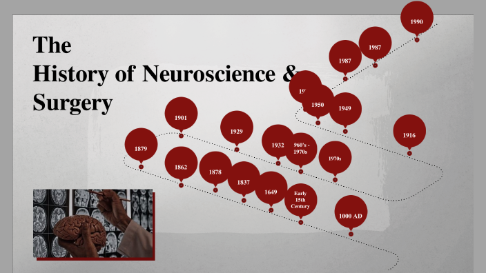 History Of Medicine: Neuroscience By Anam Ahmed On Prezi