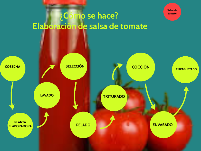 Proceso Productivo De La Salsa De Tomate Para Niños