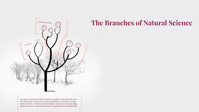 the-branches-of-natural-science-by-allison-radtke