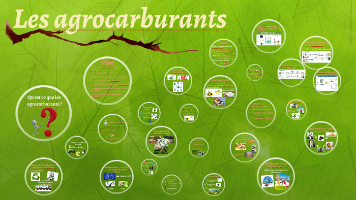 Les agrocarburants by somaia jijih