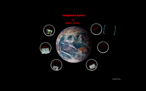 ecological triangle project by andrew arnold on Prezi