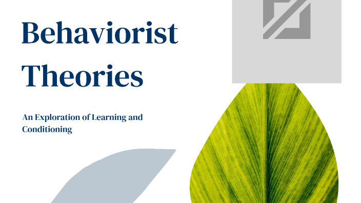 Behaviorism visual data 7