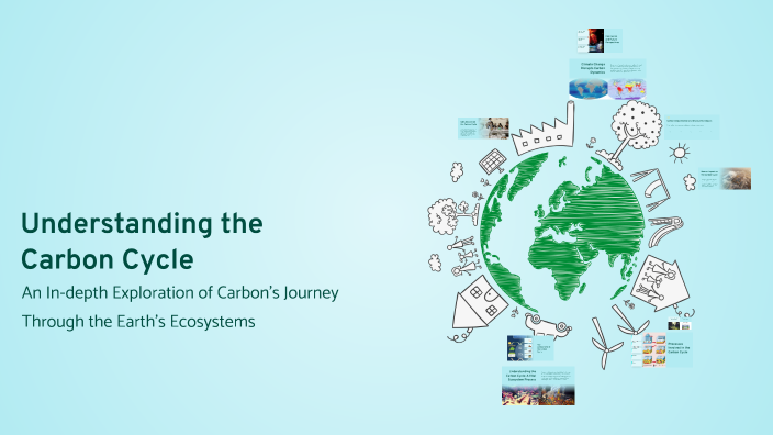 Understanding the Carbon Cycle by Jay Shah on Prezi