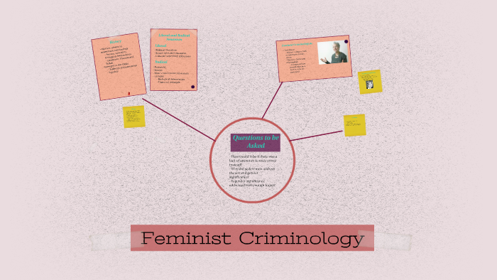 feminist criminology research project