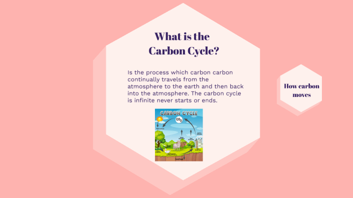 Carbon Cycle by Mateo Anderson on Prezi