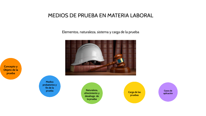 Medios De Prueba En Materia Laboral By Ricardo Rosas Montes 2649