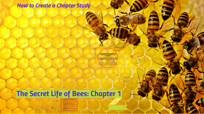 How many chapters are in the secret life of bees Secret Life Of Bees Ch 8 9 English Quiz Quizizz
