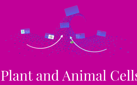 Plant and Animal Cells by Hailey Adams on Prezi