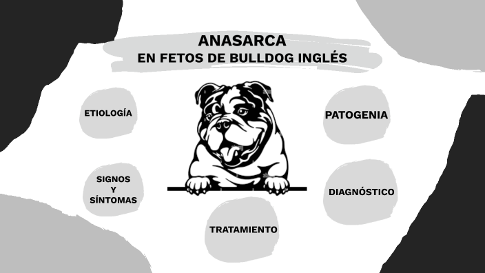 que causa los cachorros anasarca