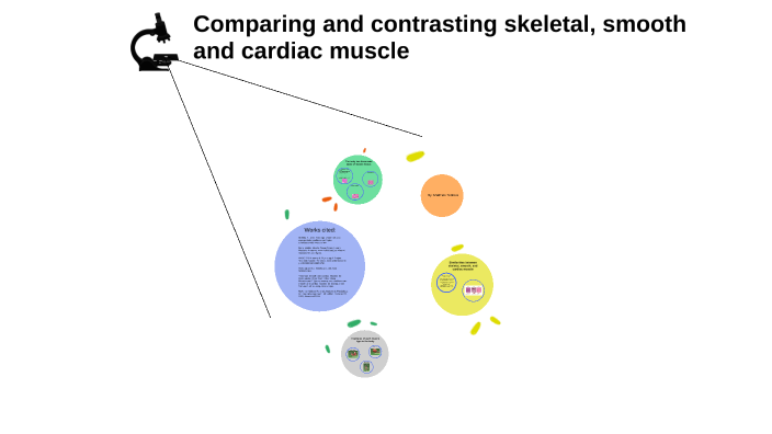 The Three Muscle Tissue Types By Matthew Tedross On Prezi The Three Muscle Tissue Types By Matthew Tedross On Prezi