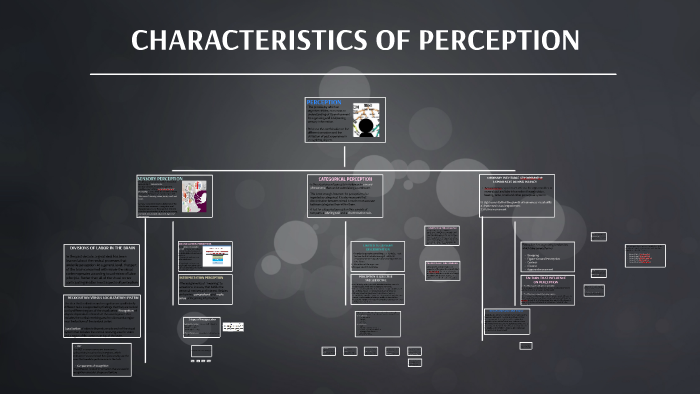 what is described by the concept of perception