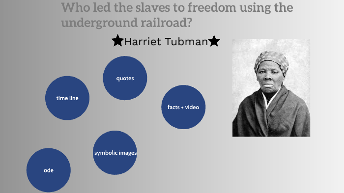 Harriet Tubman New By Ava Geary