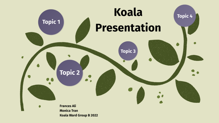 koala presentation english